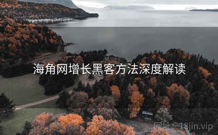 海角网增长黑客方法深度解读