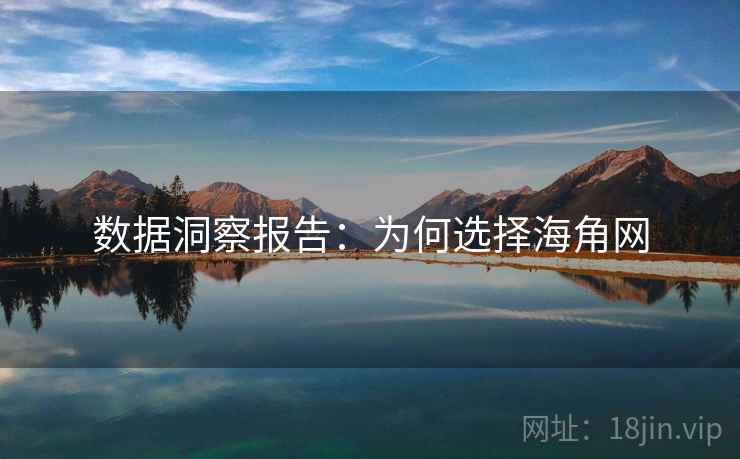 数据洞察报告：为何选择海角网