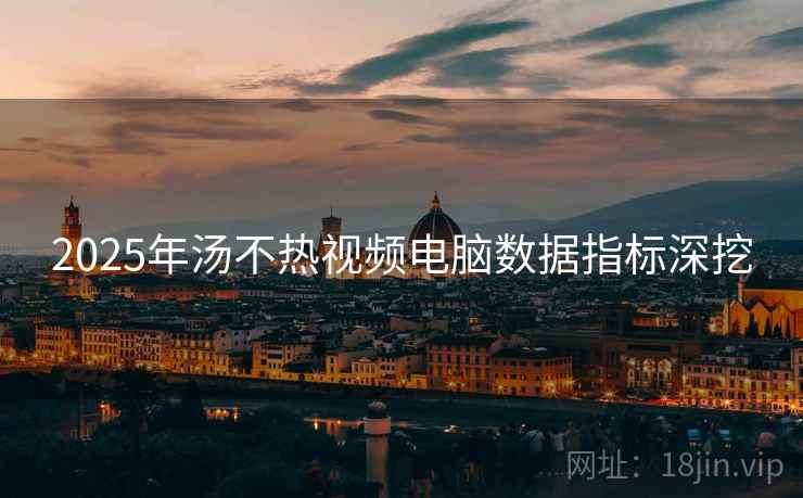 2025年汤不热视频电脑数据指标深挖