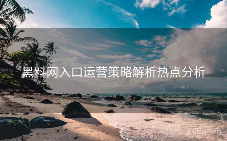黑料网入口运营策略解析热点分析